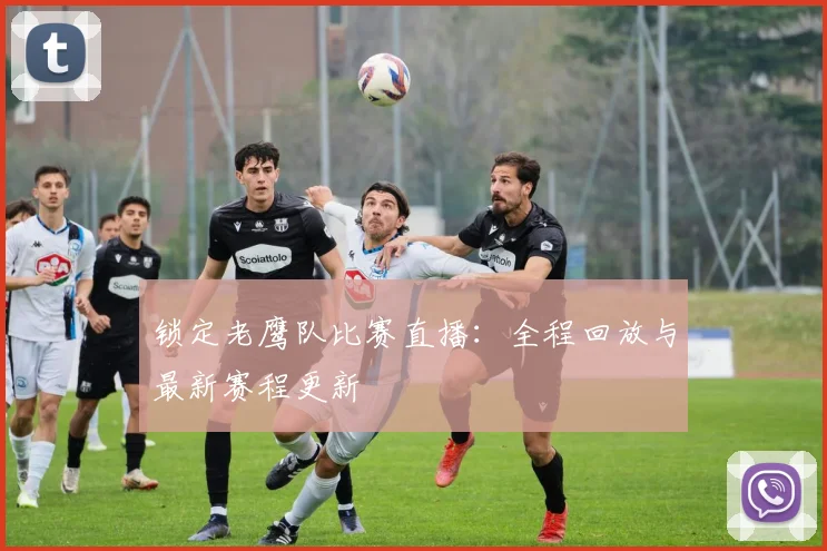 锁定老鹰队比赛直播:全程回放与最新赛程更新