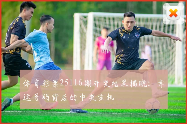 体育彩票25116期开奖结果揭晓：幸运号码背后的中奖玄机